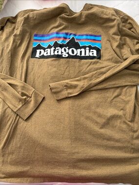 Patagonia Brown Long-Sleeve Logo Tee with Multicolor Mountain Graphic
